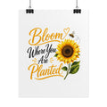 Bloom Where You Are Planted Sunflower Poster